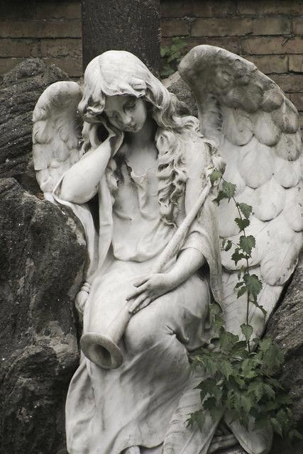 Cemetery Statues, Classic Sculpture, Greek Statues, Martin Parr, Angel Statue, Angel Sculpture, Cemetery Art, Greek Sculpture, Angel Statues