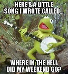 Happy Monday Y'all - Here Are The Best Memes to Start Off the Week With - Funny Gallery Week End Quotes, Funny Sunday Memes, Ex Memes, Sunday Meme, Montag Motivation, Sunday Humor, Insta Memes, Sunday Quotes Funny, Kermit Funny