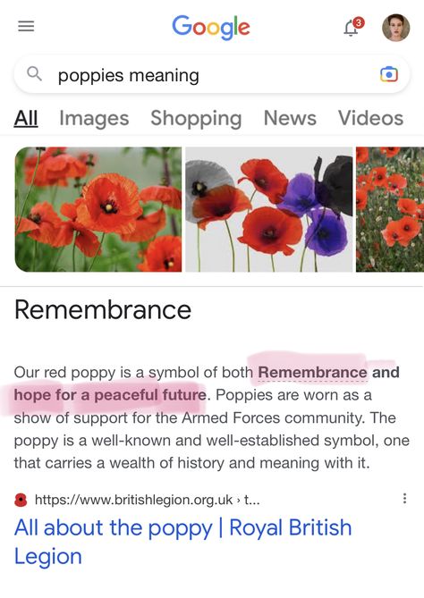 Poppy Flower Meaning, Flower Dictionary, Flower Language, Royal British Legion, Flower Meanings, Poppy Flower, Red Poppies, Beautiful World, Beautiful Gardens