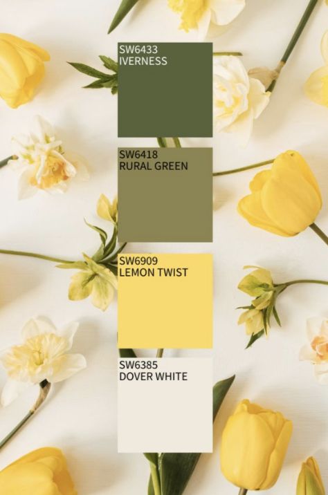 Each season brings different color palettes, and #Spring2021 is in full effect! As much as we enjoy this year’s pastels and trendy jewel tones, we’re curious… Which one has your favorite shade range: spring, summer, autumn or winter? Drop a comment below & may the most wonderful time of year win! . . . . #commercialinteriors #hospitalitydesign #residentialdesign #home #homedecor #homedesign #homegoals #homeinspo #homeinspiration #homeideas #homestyle #instahome #dreamhome #howyouhome Mellow Colors Colour Palettes, Yellow Swatches Colour Palettes, Pastel Yellow Color Scheme, Yellow Green Beige Color Palette, Yellow Flower Color Palette, Yellow And Hunter Green Wedding, Yellow Ocher Color Palette, Canary Yellow Color Palette, Yellow And Cream Color Palette