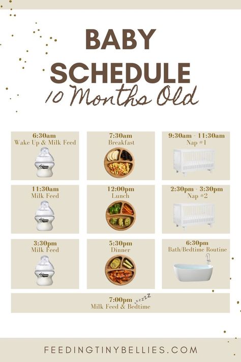 Baby Schedule - 10 Months Old Bottle Schedule For 10 Month Old, 10 Month Old Schedule Feeding, 5 Month Old Routine, 2 Month Old Eating Amount, 5 Month Food Schedule, 9 Month Old Routine, 10 Month Old Routine, 11 Month Feeding Schedule, 11 Month Old Food Schedule