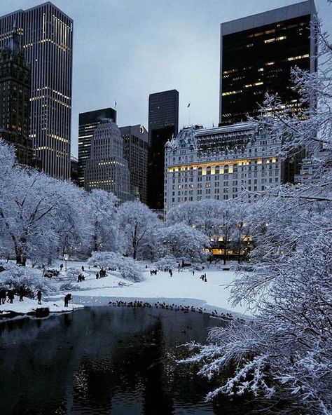 New York on Instagram: "Winter scenery in Central Park 📸 @edwinmurillorealtor ➖ Hashtags: #newyork #newyorkcity #newyorker #newyorklife #newyork_instagram #newyork_ig #newyorkarea #newyorkcitylife #newyorkcityphotography #newyorkstateofmind #centralpark #centralparknyc #centralparkmoments #nyc #nw #ny #empirestateofmind #visitnyc #winternyc" New York Winter, Nyc Christmas, Beautiful Snow, Central Park Nyc, New York Life, Pretty Landscapes, Winter Scenery, Winter Pictures, Winter Wonder