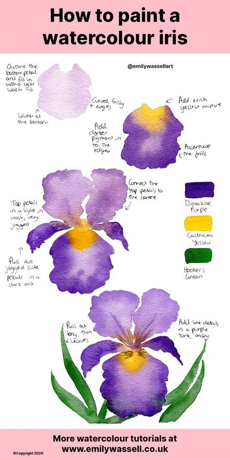 Watercolour Iris, Hur Man Ritar Blommor, Watercolor Iris, Watercolour Tutorial, Painting Ideas Easy, Learn Watercolor Painting, Iris Painting, Watercolor Beginner, Watercolor Flowers Tutorial