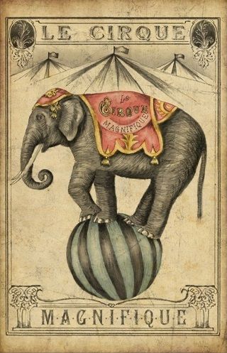 Circus Tattoo, Cirque Vintage, Circus Vintage, Vintage Circus Posters, Circus Aesthetic, Dark Circus, Circus Circus, Circus Poster, Circus Animals