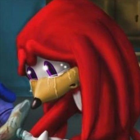 sonic and knuckles matching icons Sonic And Knuckles, Sonic & Knuckles, Matching Friend, Best Friend Match, 2013 Swag Era, Duos Icons, Sonic Funny, Sonic Fan Characters, Roblox Funny