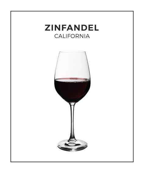 Illustrated Wine Guides | VinePair South Africa Wine, Wine Variety, Wine Varietals, Wine Guide, Zinfandel, Red Grapes, Wine Clubs, Wine And Liquor, Malbec