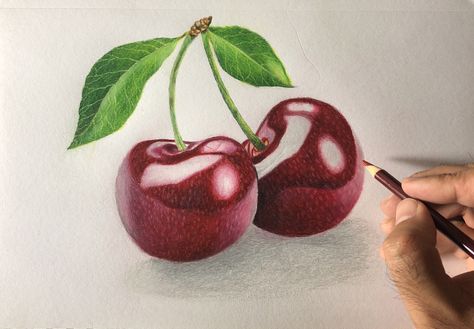 One of my latest drawings of cherries with prismacolor pencils which took me about two hours to complete. Cherries Drawing, Apple Pencil Drawing, Cherry Drawing, Fruit Art Drawings, Prismacolor Art, Colored Pencil Tutorial, Fruits Drawing, Crayon Drawings, Colored Pencil Artwork