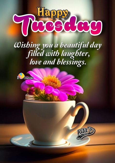 Tuesday Afternoon Greetings, Tuesday Afternoon Quotes, Have A Nice Afternoon Beautiful, Good Afternoon Images Hd New, Good Afternoon Images Hd, Happy Tuesday Morning, Day And Night Quotes, Good Morning Prayer Quotes, Tuesday Quotes Good Morning