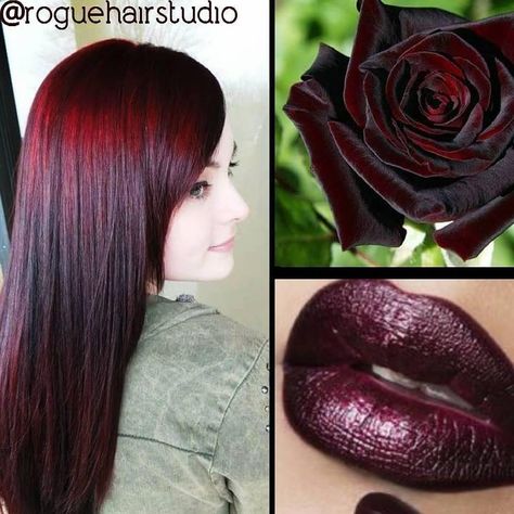 Rogue Hair, Pelo Color Vino, Black Cherry Hair, Mahogany Hair, Hair Color Mahogany, Cherry Hair, Black Hair Dye, Dark Red Hair, Top Hairstyles