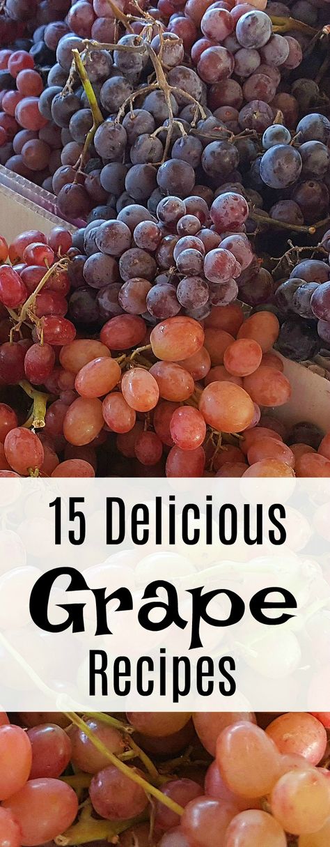 15 Delicious Recipes with Grapes - Food Blogger Recipe Round Up Grapes Dessert Recipes, Red Seedless Grapes Recipes, Recipes For Grapes With Seeds, Recipes With Grapes Healthy, What To Do With Grapes Recipes, What To Do With Extra Grapes, What To Do With Soft Grapes, Baking With Grapes, Red Grape Recipes Ideas