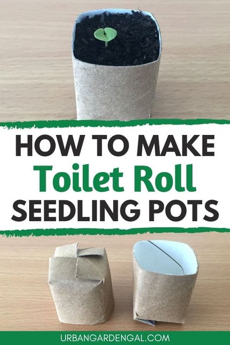 Toilet roll pots are a fun garden project for kids. Here's how to upcycle toilet rolls into seedling pots. #pots #planters #upcycled Toilet Roll Plant Pot, Toilet Paper Roll For Seedlings, Toilet Roll Planters, Toilet Paper Roll Planters, Starting Seeds In Toilet Paper Rolls, Paper Seedling Pots, Toilet Paper Roll Planter Seed Starting, Planting Seeds In Toilet Paper Rolls, Diy Seedling Pots