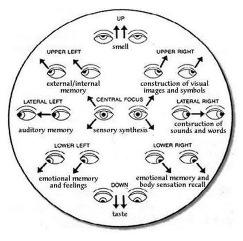 Eye directions and their meanings A Guide To Deduction, Reading Body Language, Visual Memory, Psychology Facts, Body Language, Writing Inspiration, Creative Writing, Writing Tips, Writing Prompts