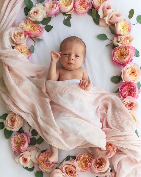 Diy Newborn Easter Pictures, One Month Old Baby Pictures Ideas, 1month Baby Photo Shoot, Baby Girl Photoshooting Ideas, One Month Old Baby Pictures, Easter Baby Photoshoot, 1 Month Old Baby Pictures, Rose Photoshoot, 3 Month Old Baby Pictures