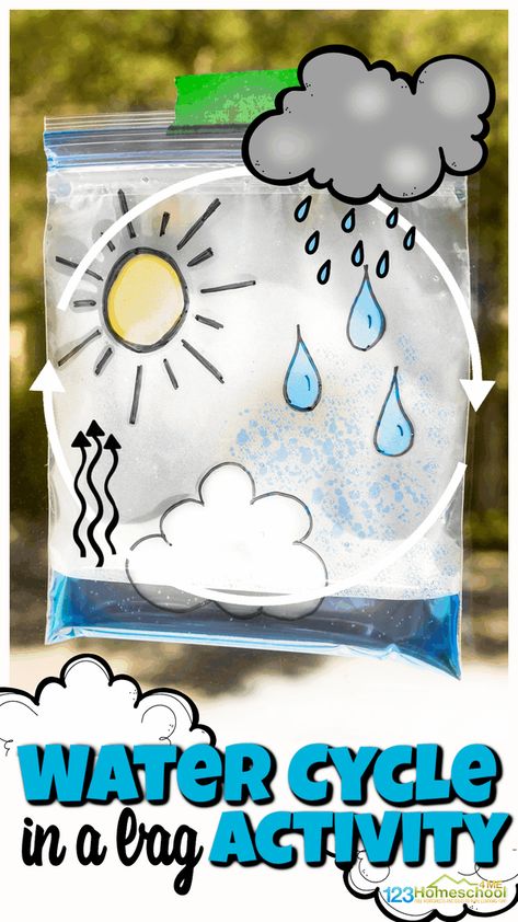 Water Cycle Hands On Activities, Water Cycle Window Experiment, Activities About Water For Preschoolers, Teaching Water Cycle To Preschoolers, Water Cycle Sensory Bin, Rain Cycle For Kindergarten, Weather Projects For 3rd Grade, Water Wednesday For Kids, Pre K Water Cycle Activities