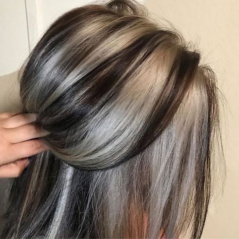 Skunk Hair, Funky Hair, Woman Hairstyles, Hair Streaks, Vlasové Trendy, Long Gray Hair, High Maintenance, Winter Hair Color, Hair Color Highlights