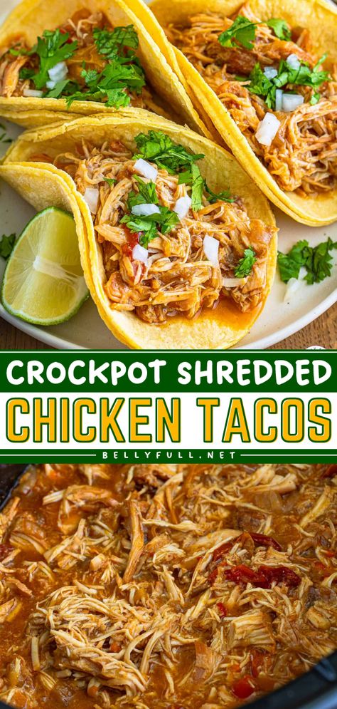 Quick and easy to prepare, this recipe for Crockpot Shredded Chicken Tacos is tender, juicy, and loaded with flavor from salsa and a handful of seasonings. It’s perfect for busy weeknights with minimal effort, and the leftovers are great to repurpose for a second meal. Mexican Shredded Chicken Recipes Crockpot, Spicy Shredded Chicken Crockpot, Leftover Chicken Recipes Crockpot, Shredded Taco Chicken Crockpot, Shredded Chicken Sandwiches Crockpot, Taco Chicken Crockpot, Crockpot Frozen Chicken Recipes, Shredded Chicken Recipes For Dinner, Shredded Chicken Recipes Crockpot