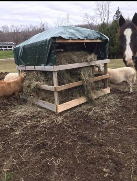 Diy Round Bale Hay Feeder For Horses, Large Bale Hay Feeder, Pallet Round Bale Feeder, Goat Round Bale Hay Feeder, Covered Round Bale Feeder Diy, Round Bale Hay Feeder Diy, Diy Horse Hay Feeder, Horse Round Bale Feeder, Diy Round Bale Feeder