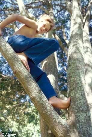 Kids Playing Outside, Kid Drawing, Poses Dynamiques, Climbing Trees, Tree Climbing, Children Playing, Human Reference, Three Children, Children Play