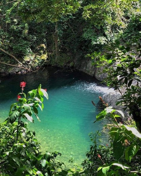 Infp Brain, Lake Aesthetic, Photography Reference, Hawaii Aesthetic, Texas Photography, Shotting Photo, Vacation Mood, Aloha Hawaii, Aesthetic Nature