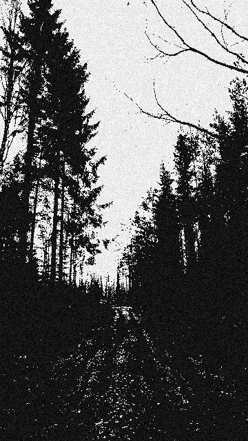 Black Metal Aesthetic Forest, Black Metal Art Wallpaper, Sludge Metal Aesthetic, Dsbm Wallpaper, Black Nature Wallpaper, Dark Metal Aesthetic, Mysterious Wallpapers, Black Metal Forest, Dark Mysterious Aesthetic