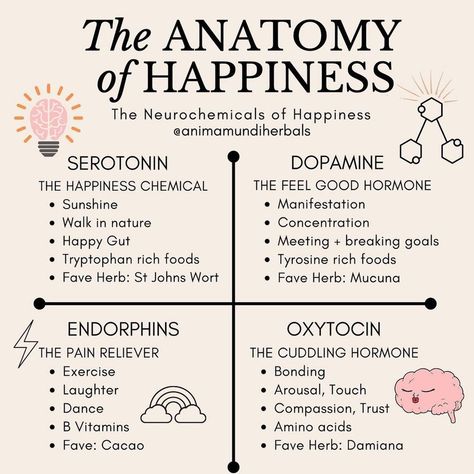 Modrn Sanctuary on Instagram: “Good news 📰! Happiness comes from the inside, and here are a few ways to balance up with those neurochemicals that can help you feel happy.…” Happiness Chemicals, Happy Gut, Evolutionary Biology, Vie Motivation, Mental And Emotional Health, Self Care Activities, Mental Wellness, Self Improvement Tips, Emotional Health