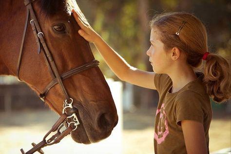 If your kid dreams of horses, that fantasy can easily be summer camp. Summer Horse Riding, Horse Feeding, Los Angeles With Kids, Equestrian Helmets, Community Hub, Equestrian Helmet, Horse Feed, Horse Dressage, Types Of Horses