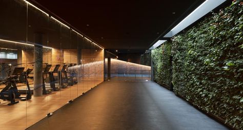 Examples of gyms wellness zones biophilic design interiors — wellness + gym consultants Biophilic Design Interiors, Botanical Interior, Home Gym Garage, Gym Facilities, Members Club, Gym Interior, Meditation Area, Residential Development, Biophilic Design