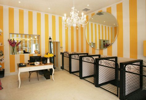 dog room basement ideas #dogroombasementideas Grooming Salon Ideas, Dog Grooming Salon Ideas, Dog Grooming Salon Decor, Pet Grooming Business, Grooming Ideas, Dog Grooming Tools, Pet Grooming Salon, Dog Grooming Shop, Dog Spa