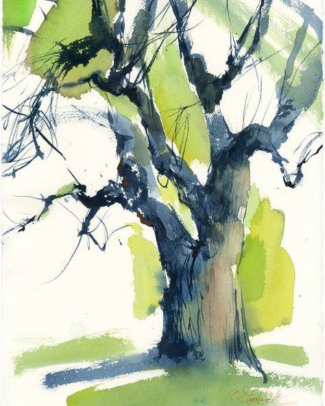 This old tree I painted in an area of St. Sophia of Kyiv#Watercolor , #paper #Arches 180 g/m38 x 28 cm2018#pleinair #archespaper #watercolortree #watercolor_sketch #watercolorsketch #watercolorpainting #painting #watercolorart #quickpainting #quicksketch #sternyk #olgasternyk #oldtree #tree #treepainting Tree Sketch, Family Tree Tattoo, Tree Watercolor Painting, Twisted Tree, Tree Icon, Tree Sketches, Old Oak Tree, Sketch Paper, Watercolor Tree