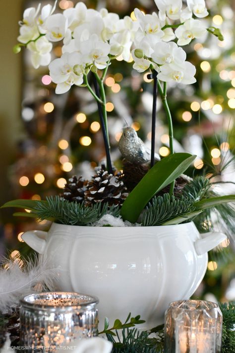 Create a winter flower arrangement using an orchid, giving it a snowy white setting as a centerpiece.   I had a blog challenge to create a "Winter White Flower Arrangement". Boy, was it a challenge when I went to search for white flowers at my area grocery stores the beginning of January and there were none to be found. . . as if all the stores had gone on a flower diet after all the holiday blooming and bingeing!   I decided to use what I had, my white Phalaenopsis Orchid, a gift I re… Floral Arrangements Ideas, Winter Flower Arrangements, Winter Decor Ideas, Winter Floral Arrangements, White Floral Arrangements, White Flower Arrangements, Winter Arrangements, Winter Decorating, Orchid Arrangements