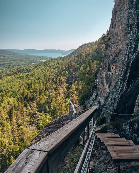 Sweden Nature Landscapes, Umea Sweden, Sweden Hiking, Sweden Nature, Sweden Travel, Hiking Routes, Camping Spots, Amazing Views, Sea Level