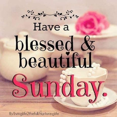 Good morning and happy Sunday y’all!!!! Hope you have a blessed day!!! It’s absolutely gorgeous here today!!!! 💕🙏☀️ Blessed Sunday Quotes, Blessed Sunday Morning, Sunday Humor, Happy Sunday Images, Sunday Messages, Happy Sunday Morning, Sunday Morning Quotes, Sunday Quotes Funny, Sunday Greetings