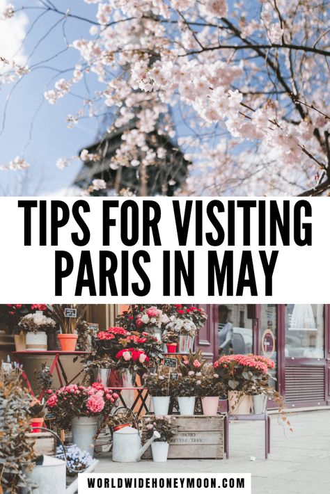 Top 10 Tips For Visiting Paris in May: Top Things to do in Paris in May, What to Wear, & More! - World Wide Honeymoon Paris Weather, Paris In May, Paris Trip Planning, Spring Paris, Paris Things To Do, Paris In Spring, Paris Honeymoon, Spring In Paris, Outfits Paris