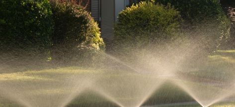 Although proper planning can’t do the work for you, developing a strategy for removing unwanted bushes can make the job less painful. Sprinkler System Installation, Lawn Sprinkler System, Underground Sprinkler, Sprinkler Irrigation, Lawn Care Tips, Landscape Maintenance, Lawn Sprinklers, Planting Shrubs, Landscaping Supplies