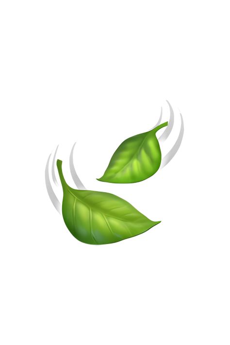 The emoji 🍃 depicts a green leaf with a stem, fluttering or swaying in the wind. The leaf has a slightly curved shape and is shown with a few veins running through it. The movement of the leaf is conveyed by a series of diagonal lines behind it, which represent the wind blowing it back and forth. Overall, the emoji gives the impression of a fresh, natural, and breezy atmosphere. Wind Emoji, Planet Emoji, Leaf Pictures, Png Emoji, Green Emoji, Leaves Blowing, Emoji Tattoo, Emojis Iphone, Iphone Png