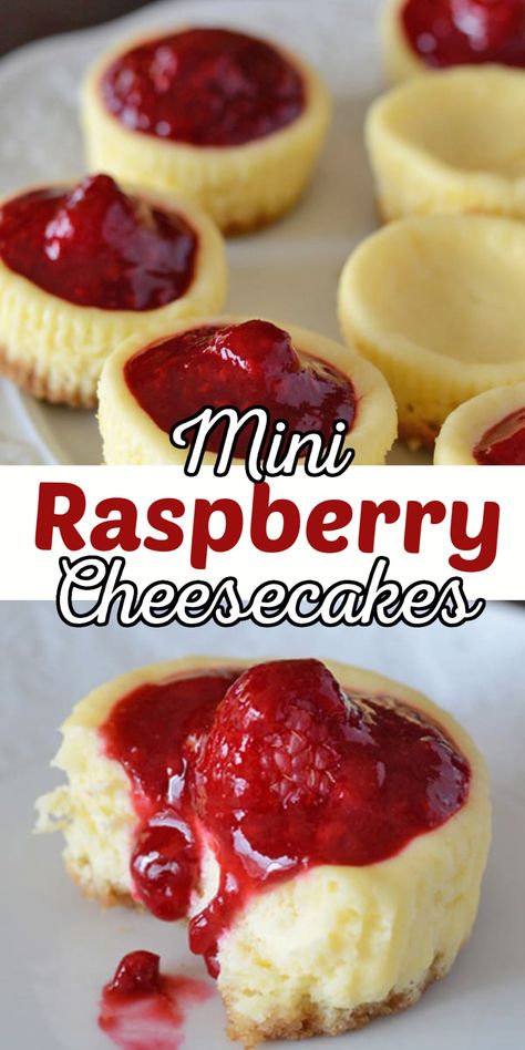 Mini round cheesecakes with graham cracker crust,  cheesecake and topped with raspberry and sauce. With Pinterest overlay. Red Raspberry Cheesecake, Raspberry Jam Desserts Simple, Mini Cheesecakes Raspberry, Raspberry Filling Desserts, No Bake Raspberry Cheesecake Bites, Raspberry Preserves Desserts, Mini Raspberry Pie, Cheesecake With Raspberries, Raspberry Dinner Recipes