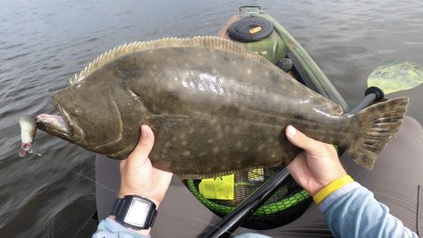 Flounder Fishing (Best Spots, Lures, Tips, & Rigging For More Flounder) Fishing Boat Accessories, Flounder Fishing, Saltwater Fishing Lures, Bass Fishing Tips, Fishing Rigs, Fishing Videos, Ocean Fishing, Pier Fishing, Boat Accessories