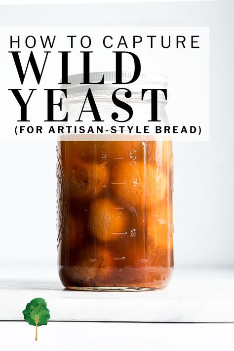 Wild Yeast Starter, Fermenting Foods, Healthy Breads, Fermented Bread, Bakers Yeast, Natural Yeast, Yeast Starter, Gluten Free Yeast Free, Baking Measurements