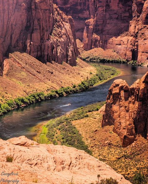 View of the Colorado River from Glen Canyon Dam side. 🚤 #arizona #az #abc15 #fox10phoenix #12news #3tv #cbs5az #arizonaisgorgeous… Glen Canyon Dam, Book Vibes, Vintage Arizona, Glen Canyon, River Canyon, Prescott Az, Colorado River, Grand Canyon National Park, Grand Canyon