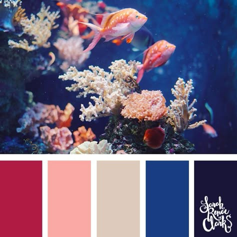 Fish color inspiration // Explore the beautiful colors of the ocean with these 25 color palettes inspired by ocean life and PANTONE’s 2019 Color of the Year, Living Coral. Click to see all 25 color palettes for underwater color inspiration for art projects, coloring or paint pouring at www.sarahrenaeclark.com #colorpalette #colorscheme #colorcombo Fish Color Palette, Ocean Color Palette, Coral Reef Color, Fish Color, Coral Art, Color Catalog, Color Schemes Colour Palettes, Living Coral, Paint Pouring