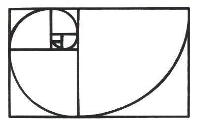 COMPOSITION: The Golden Section, also called The Golden Ratio, The Golden Mean and The Divine Proportion was discovered by the Greek mathematician Pythagoras. Fibonacci In Nature, Fibonacci Tattoo, Spiral Drawing, Golden Section, The Golden Mean, Divine Proportion, Golden Number, Golden Spiral, Sacred Geometry Tattoo