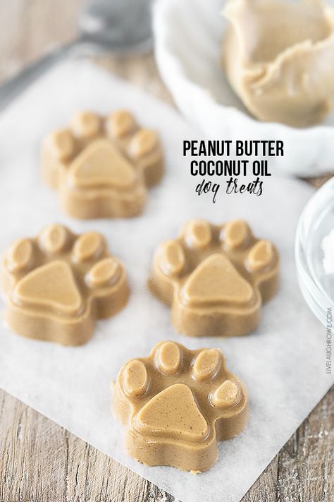 Treat your dogs to these yummTreat your dogs to these yummy homemade Peanut Butter Coconut Oil Dog Treats! They'll be begging for more. livelaughrowe.com Coconut Oil Dog Treats, Frozen Dog Treats, Coconut Oil For Dogs, Dog Biscuit Recipes, Coconut Peanut Butter, Dog Treats Homemade Recipes, Frozen Dog, Diy Dog Treats, Food Dog