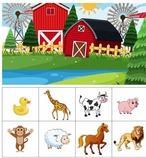 تصنيف الحيوانات, Habitat Activities, Clown Crafts, Body Parts Preschool, Farm Preschool, Farm Kids, Kindergarten Learning Activities, Preschool Lesson Plans, Animal Crafts For Kids