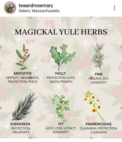 Winter Solstice Herbs, Mistletoe Witchcraft, Yule Pictures, Everyday Witchcraft, Wicca Holidays, Yule Traditions, Yule Crafts, Yule Celebration, Pagan Christmas