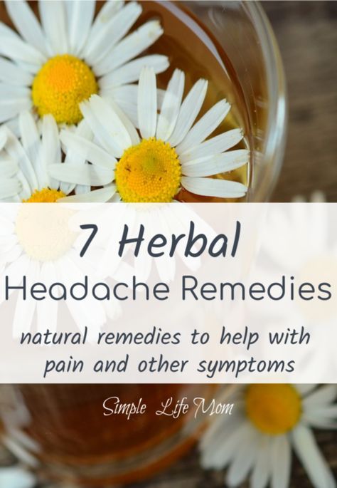 7 Herbal Headache Remedies | Simple Life Mom Natural Headache Relief, Autogenic Training, Natural Headache, Natural Headache Remedies, Healthy Diet Tips, Headache Relief, Daily Health Tips, Good Health Tips, Healthy Food Choices