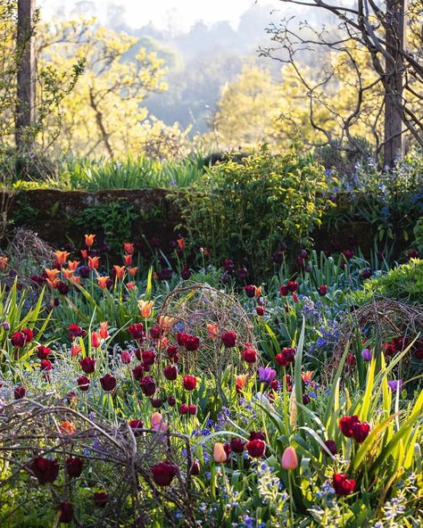 Gravetye Manor, Cabins And Cottages, Luxury Hotel, Flower Garden, Tulips, England, Cottage, Lighting, Plants