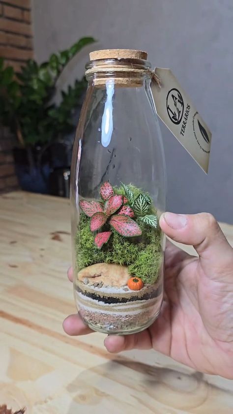 #terrarium #terrariumdesign #terrariumlove #terrariumdreams #moss #howto #diy #fyp #terrariumsofinstagram #portland #cactus #succulents #beaverton #pdx #plantshop #local #smallbusiness #plantsplantsplants #plants #plantsmakepeoplehappy #plantsofinstagram Terrarium Bar, Flower Terrarium, Cactus Succulents, Plant Shop, Succulent Terrarium, Terrarium, Succulent, Portland, Cactus