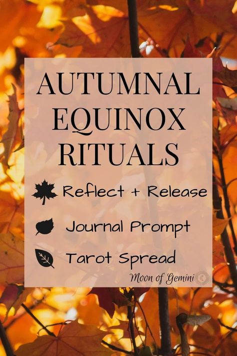 ideas for the fall equinox, how to celebrate it and release what is no longer helpful to you, like a tree loses its leaves. Spell Recipes, Witchy Holidays, Autumnal Equinox Celebration, Fall Solstice, Spiritual Parenting, Autumn Equinox Ritual, Equinox Ritual, Equinox Celebration, Spring Equinox Ritual