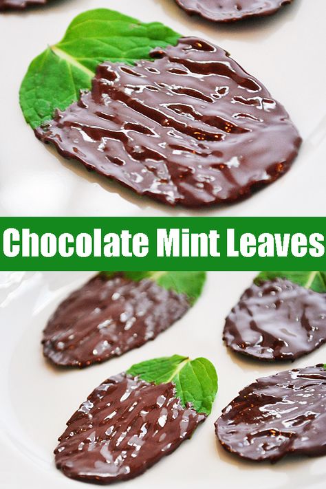 Chocolate Covered Mint Leaves, Candied Sage Leaves, Sugared Mint Leaves, Candied Mint Leaves, Fresh Spearmint Recipes, Desserts With Mint Leaves, Natural Recipes Food, Recipes With Spearmint Leaves, How To Use Mint Leaves