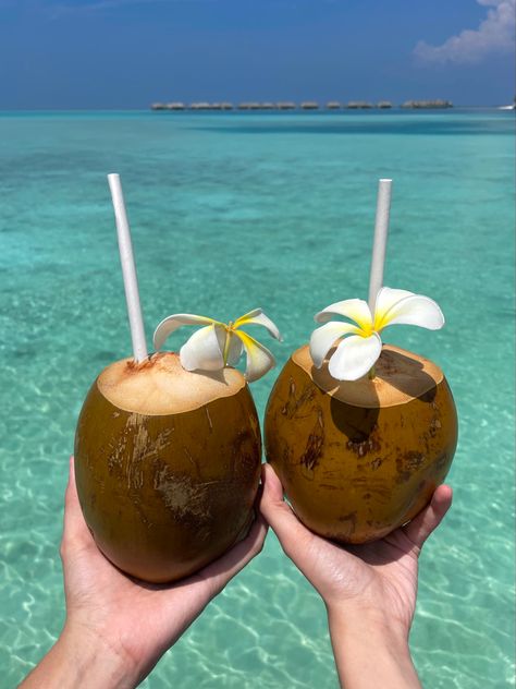 Coconuts in front of the Indian Ocean Maldives Island Aesthetic, Maldives Island Beach, Island Resort Aesthetic, Tropical Resort Aesthetic, Beach Resort Aesthetic, Maldives Landscape, Florida Thanksgiving, Maldives Beach Resort, Resort Aesthetic